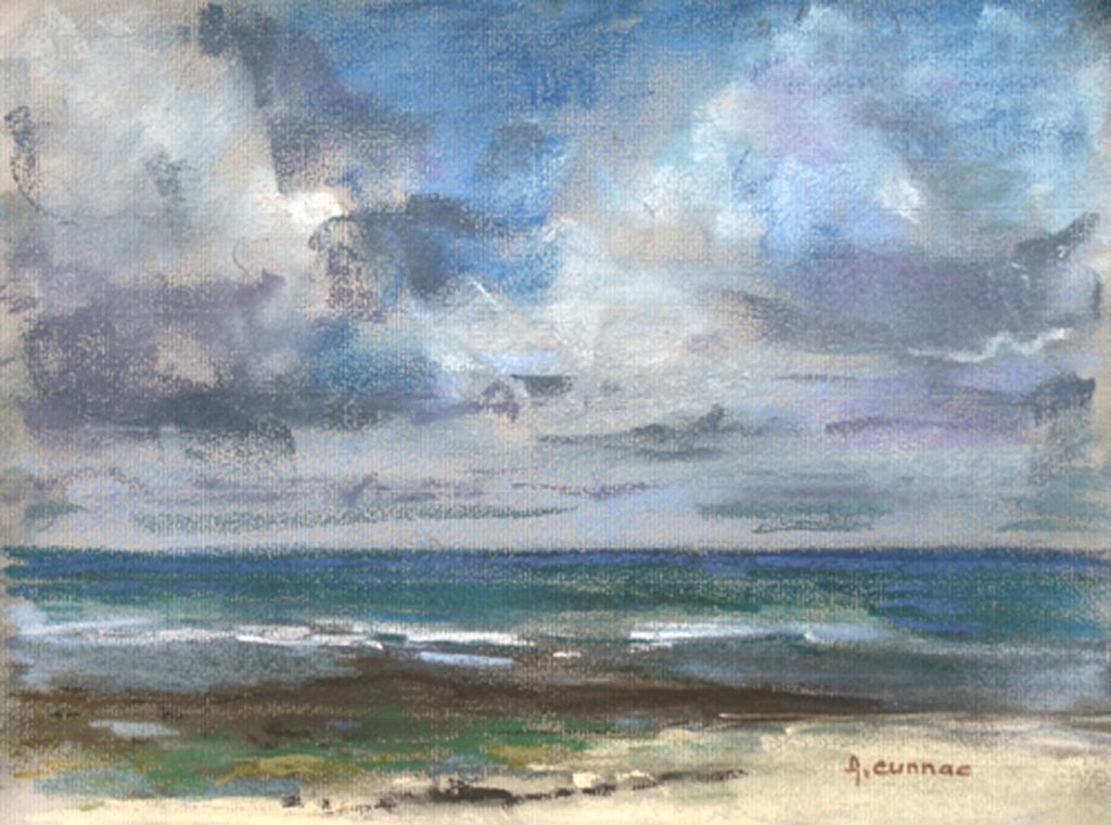 Ars en Ré la côte sauvage