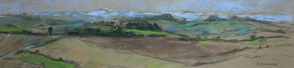 Campagne tarnaise