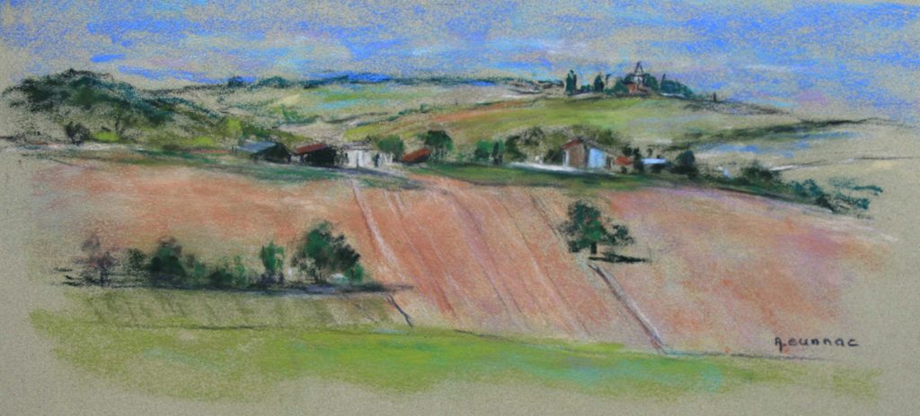 Campagne tarnaise au printemps